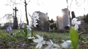 10154408_308653992619635_6961075649572756743_n